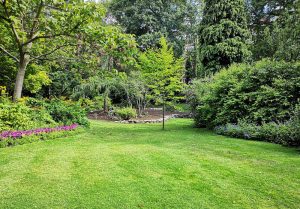 Optimiser l'expérience du jardin à Apremont-sur-Allier